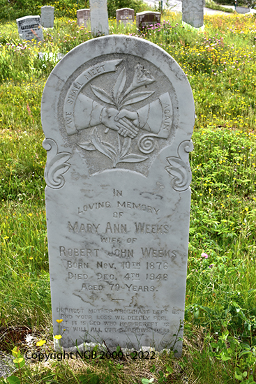 Mary Ann Weeks