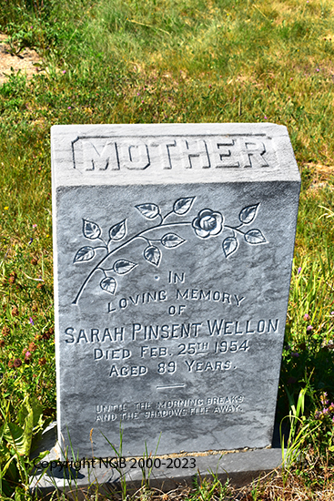 SArah Pinsent Wellon