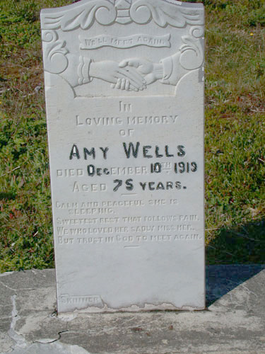 Amy Wells