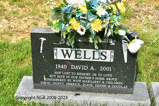avid A. Wells