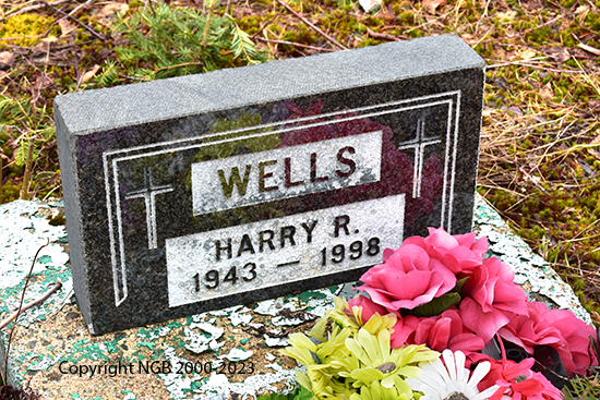 Harry R. Wells