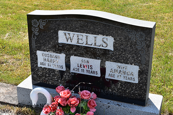 Harry, Amanda & Lewis Wells