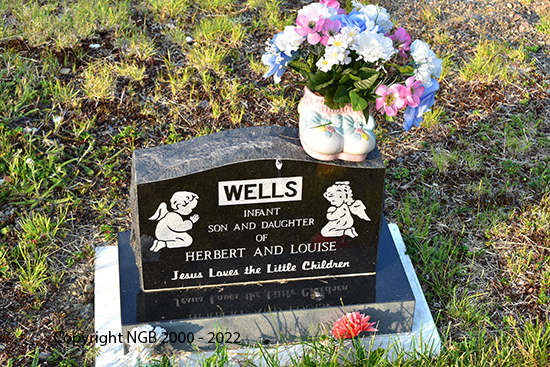 Infant Son & Daughter of Herbert & Louise Wells