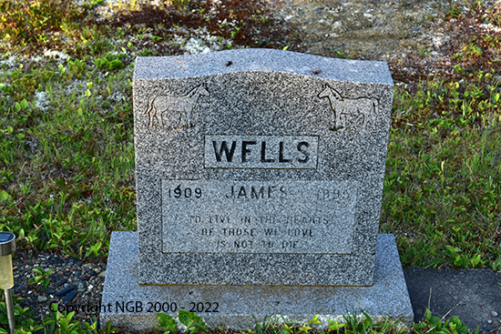 James Wells