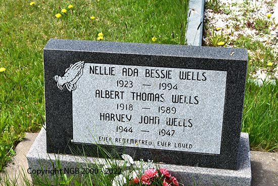 Nellie, Albert & Harvey Wells 