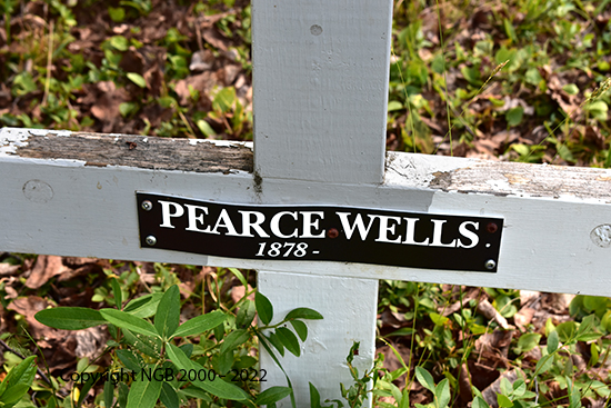 Pearce Wells