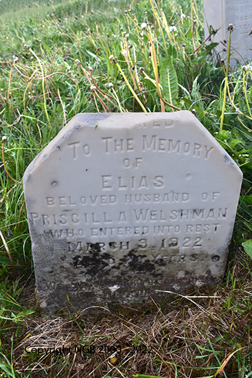 Elias Welshman
