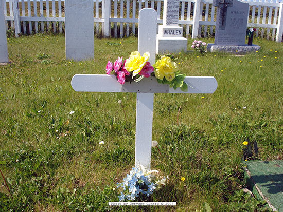 Brandon Dee Whalen-Learning