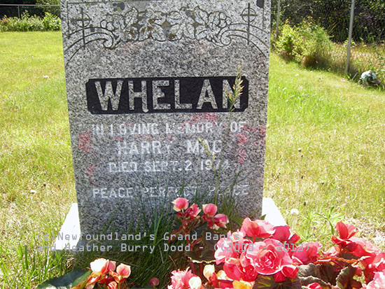 Harry Whelan