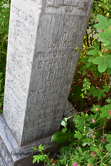 Arthur & Ethel White