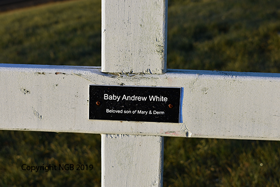 Baby Andrew White