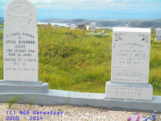 Daisy & Darius White