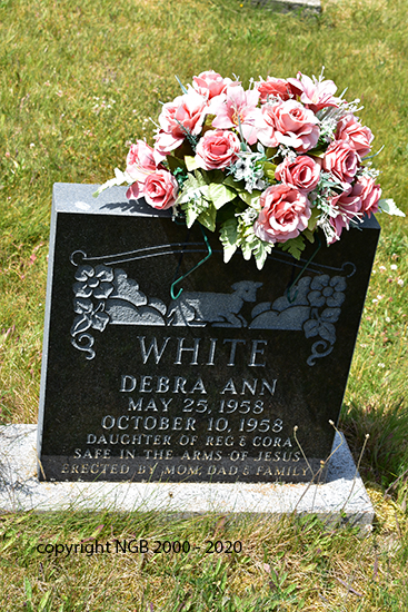 Debra Ann White