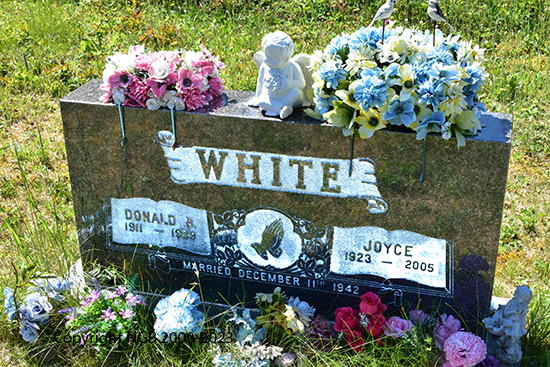 Donald B. & Joyce White