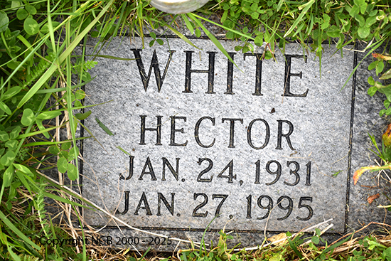 Hector White