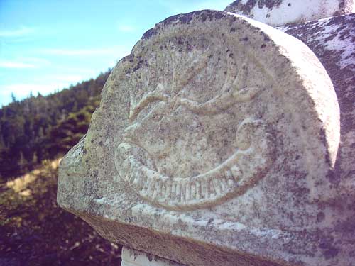 Michael John White Close-up