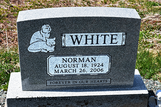 Norman White