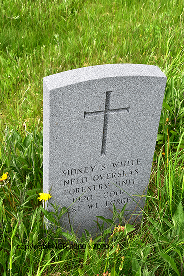 Sidney S. White