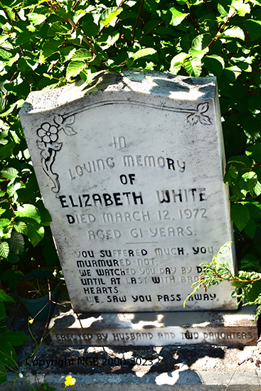 William Edgar & Elizabeth White