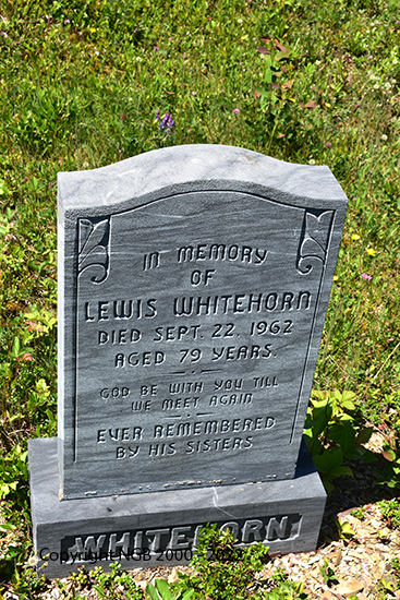 Lewis Whitehorn