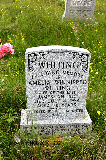 Amelia Winnifred Whiting