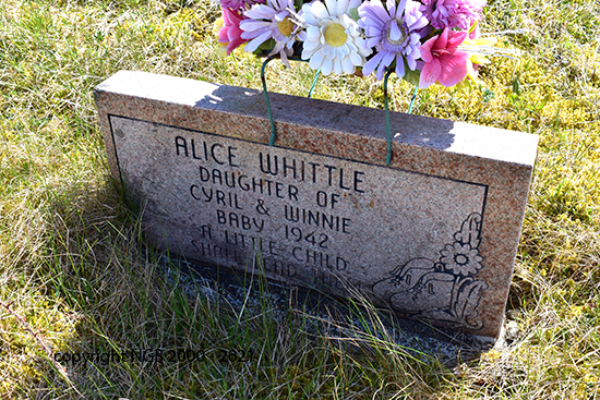 Alice Whittle