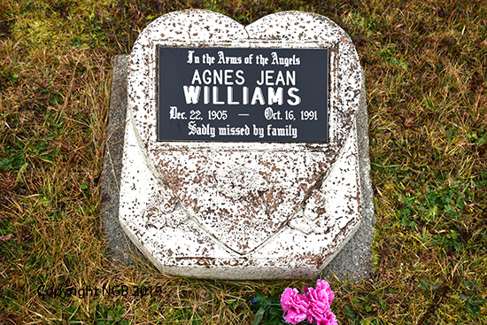 Agnes Jean Williams