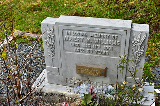 Albert H. & Elizabeth Williams