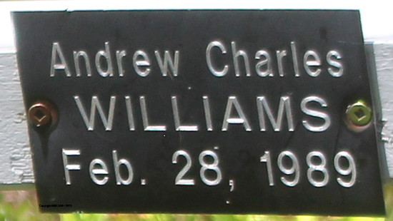 Andrew & David Williams