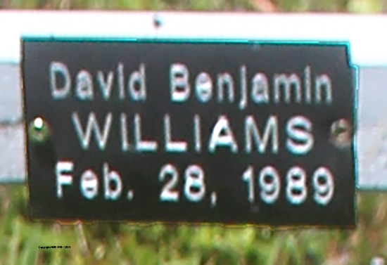 Andrew & David Williams