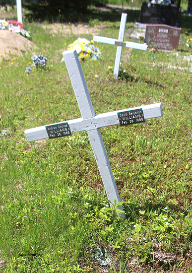 Andrew & David Williams