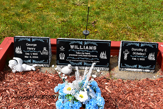 George Henry Williams