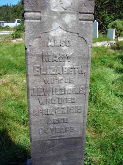 Mary Elizabeth Williams