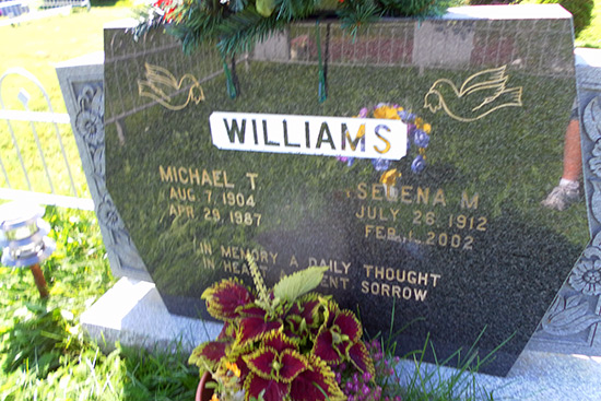 Michael T. & Selena M. Williams