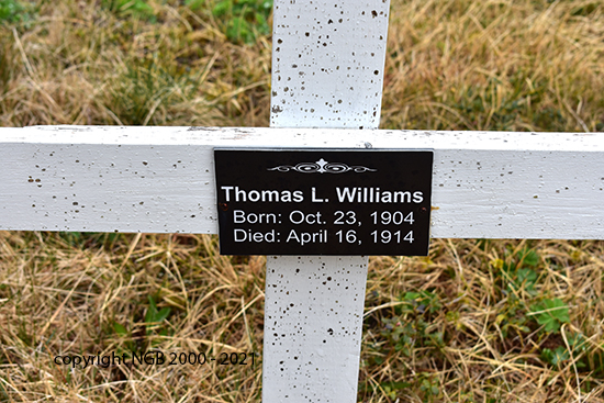 Thomas L. Williams