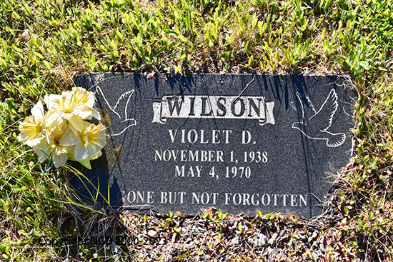 Violet D. Wilson