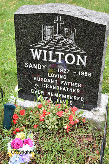 Sandy Wilton
