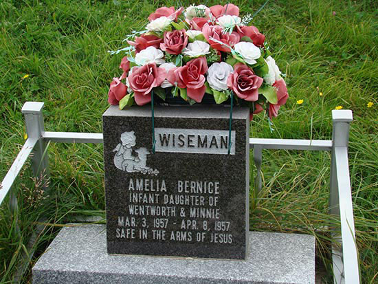 Amelia Bernice Wiseman
