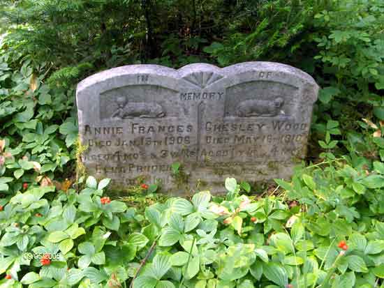 Chesley, Annie and Ella Wood