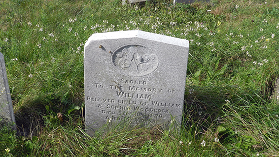 William Woodcock
