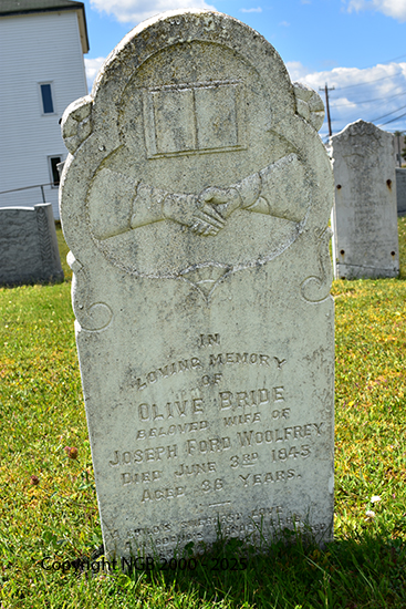 Olive Bride Woolfrey