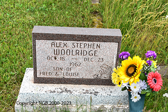 Alex Stephen Woolridge