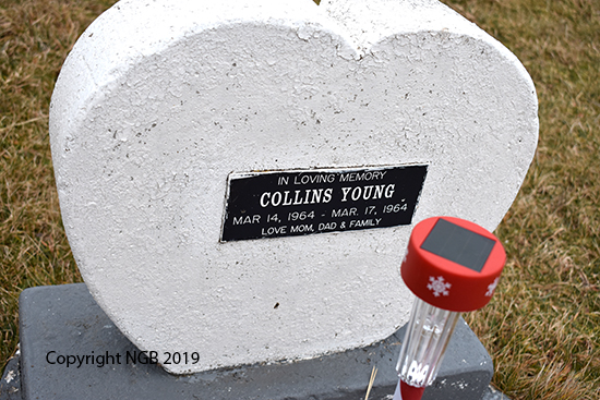 Collins Young