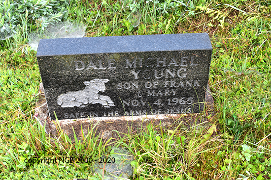Dale Michael Young