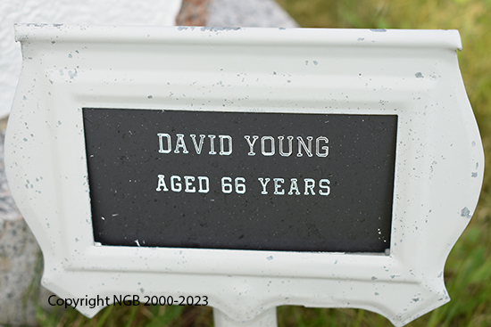 David Young