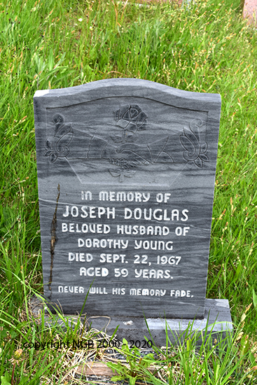 Joseph Douglas Young