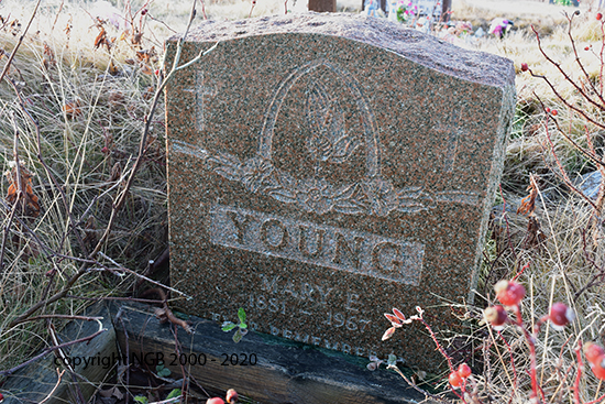 MARY E. YOUNG
