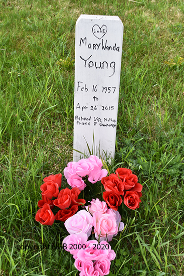 Mary Wanda Young