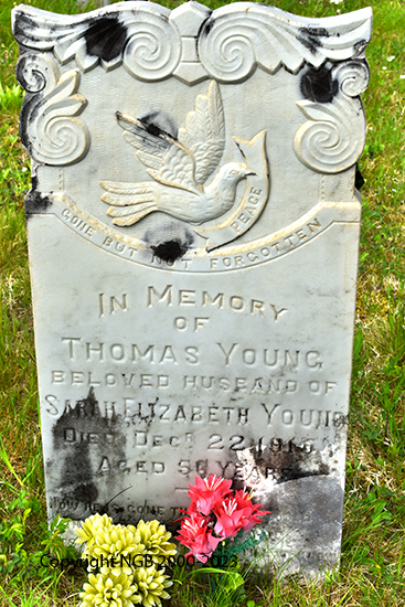 Thomas Young