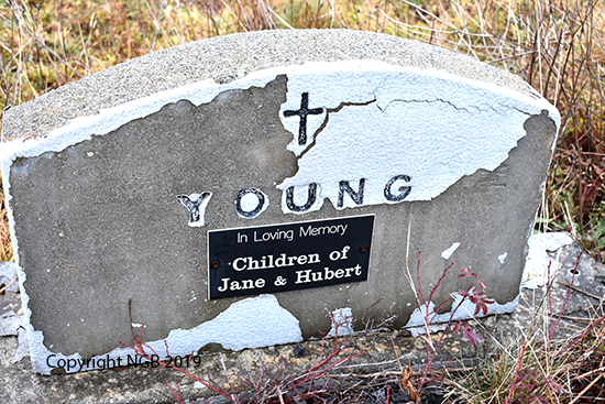 Children of Jane & Hubert Young